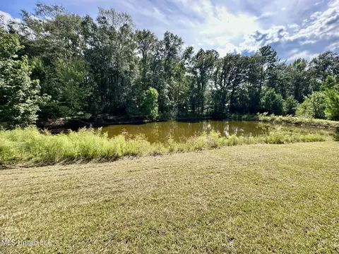View/Area - 117 Holifield Rd, Laurel, MS 39443 photo 1 of 5