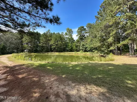 View/Area - 117 Holifield Rd, Laurel, MS 39443 photo 3 of 5