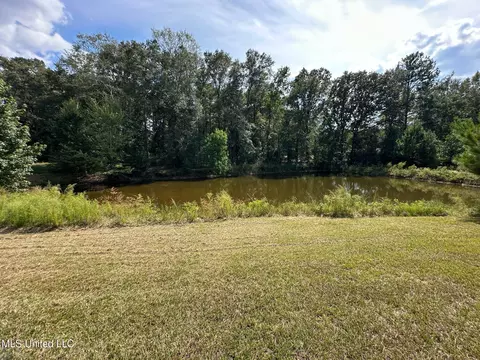 View/Area - 117 Holifield Rd, Laurel, MS 39443 photo 2 of 5