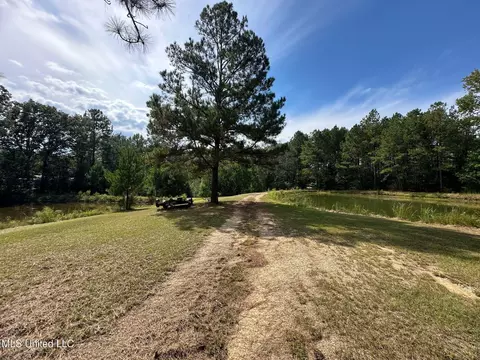Other - 117 Holifield Rd, Laurel, MS 39443 photo 5 of 15