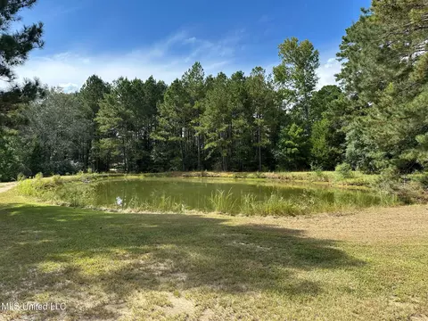 View/Area - 117 Holifield Rd, Laurel, MS 39443 photo 4 of 5