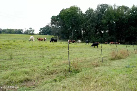 1074 Midway Odom Road Rd, Forest, MS 39074 photo 15
