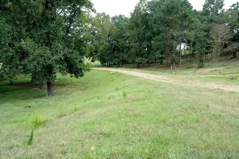 1074 Midway Odom Road Rd, Forest, MS 39074 photo 34