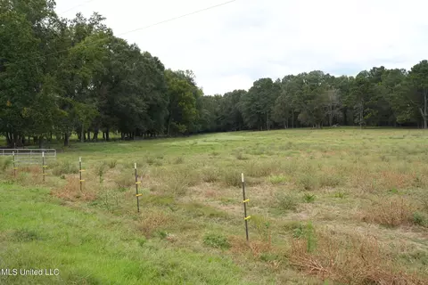 1074 Midway Odom Road Rd, Forest, MS 39074 photo 36