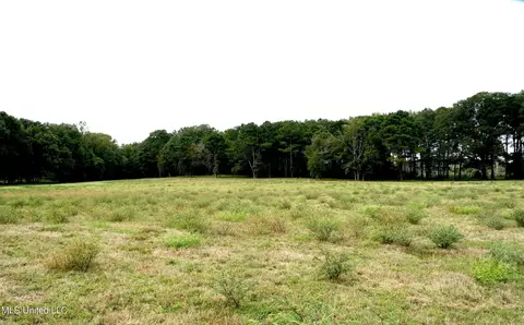 1074 Midway Odom Road Rd, Forest, MS 39074 photo 3