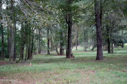 1074 Midway Odom Road Rd, Forest, MS 39074 photo 12