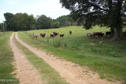 1074 Midway Odom Road Rd, Forest, MS 39074 photo 33