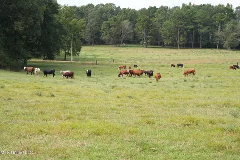 1074 Midway Odom Road Rd, Forest, MS 39074 photo 2