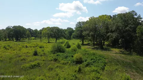1725 Highway 51 Hwy, Madison, MS 39110 photo 10