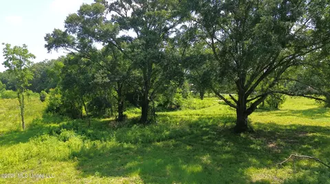 1725 Highway 51 Hwy, Madison, MS 39110 photo 13