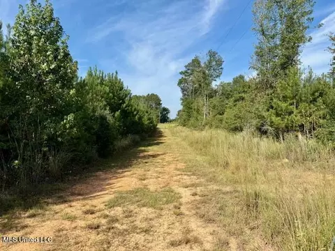 Beartown Road, Jayess, MS 39641 photo 8
