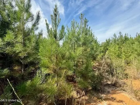 Beartown Road, Jayess, MS 39641 photo 24