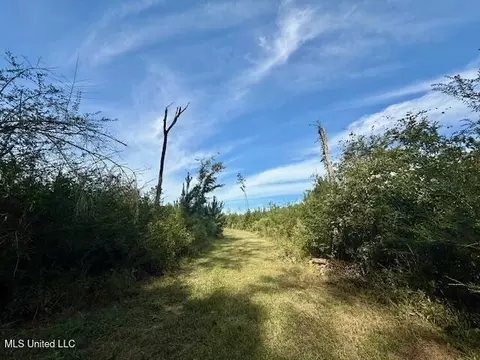 Beartown Road, Jayess, MS 39641 photo 18