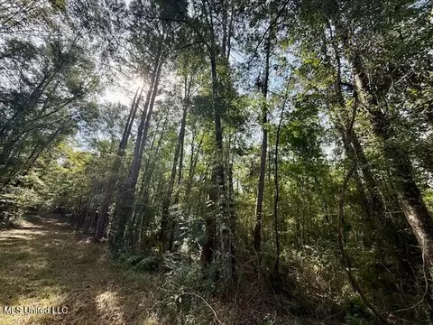 Beartown Road, Jayess, MS 39641 photo 19