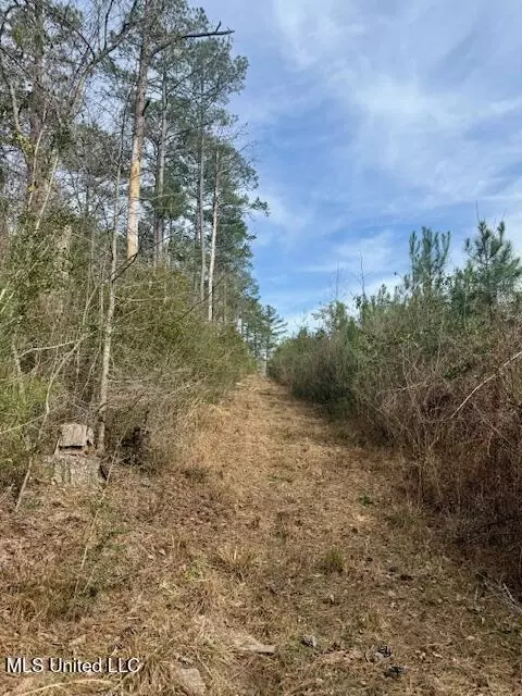 Beartown Road, Jayess, MS 39641 photo 39