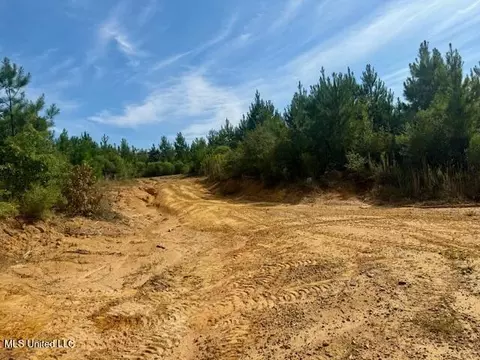 Beartown Road, Jayess, MS 39641 photo 29