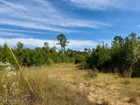 Beartown Road, Jayess, MS 39641 photo 5
