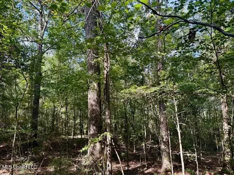 Beartown Road, Jayess, MS 39641 photo 21