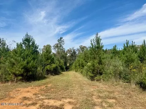 Beartown Road, Jayess, MS 39641 photo 14