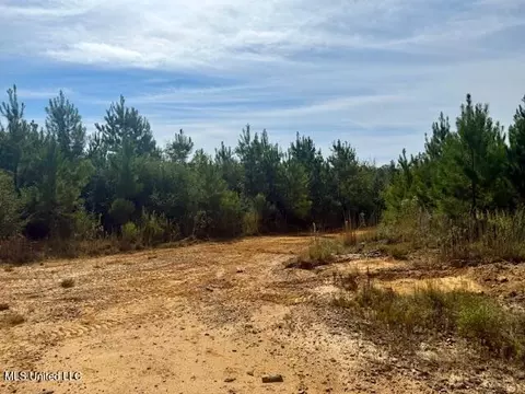 Beartown Road, Jayess, MS 39641 photo 30