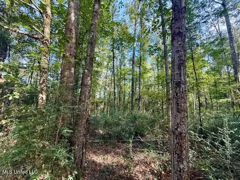 Beartown Road, Jayess, MS 39641 photo 3