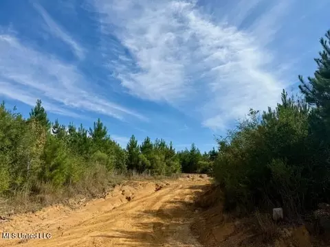 Beartown Road, Jayess, MS 39641 photo 12