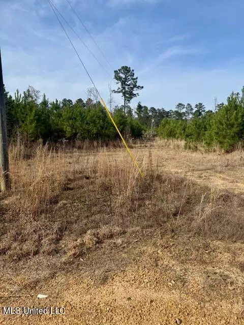 Beartown Road, Jayess, MS 39641 photo 46