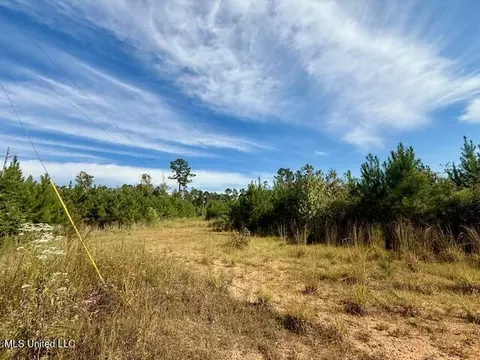 Beartown Road, Jayess, MS 39641 photo 6