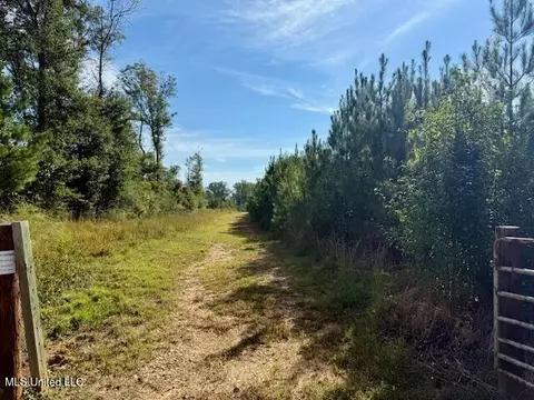 Beartown Road, Jayess, MS 39641 photo 4