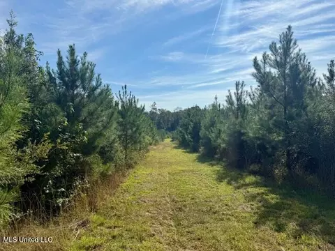 Beartown Road, Jayess, MS 39641 photo 15