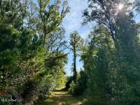 Beartown Road, Jayess, MS 39641 photo 9