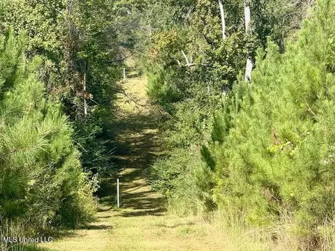 Beartown Road, Jayess, MS 39641 photo 26