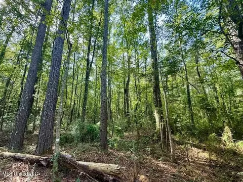 Beartown Road, Jayess, MS 39641 photo 20