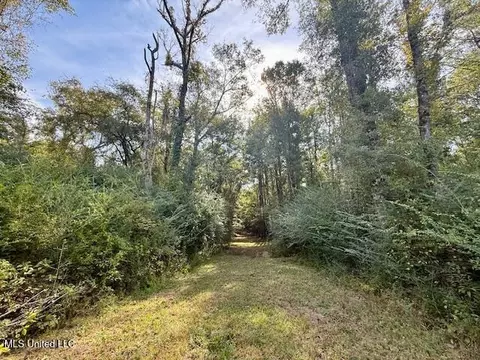 Beartown Road, Jayess, MS 39641 photo 17
