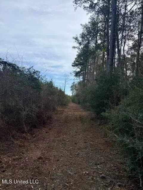 Beartown Road, Jayess, MS 39641 photo 42