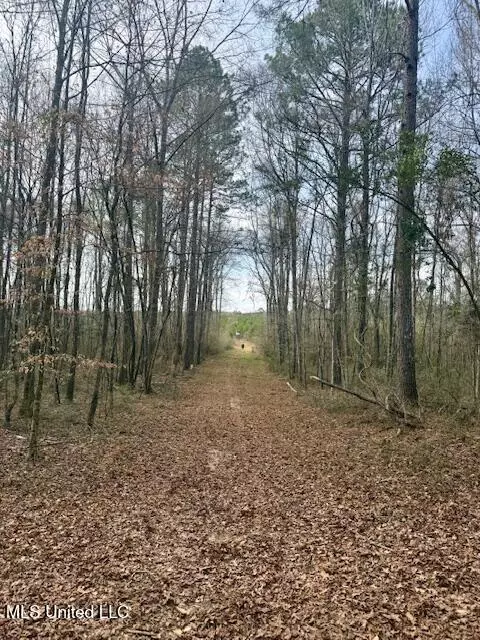Beartown Road, Jayess, MS 39641 photo 37