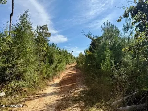 Beartown Road, Jayess, MS 39641 photo 10