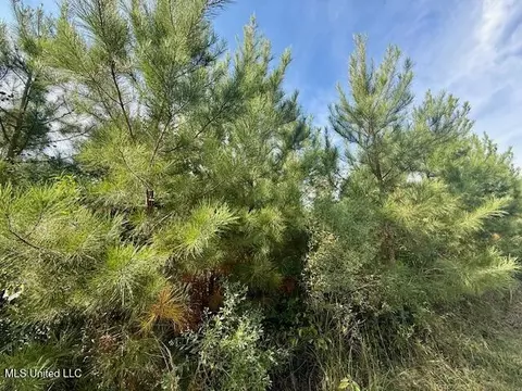 Beartown Road, Jayess, MS 39641 photo 23