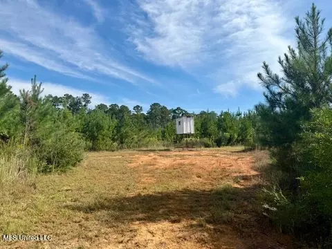 Beartown Road, Jayess, MS 39641 photo 13