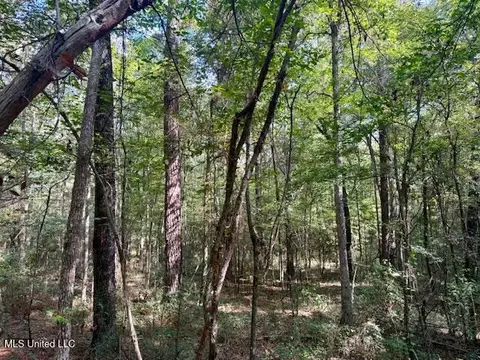 Beartown Road, Jayess, MS 39641