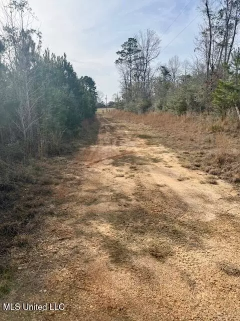 Beartown Road, Jayess, MS 39641 photo 45
