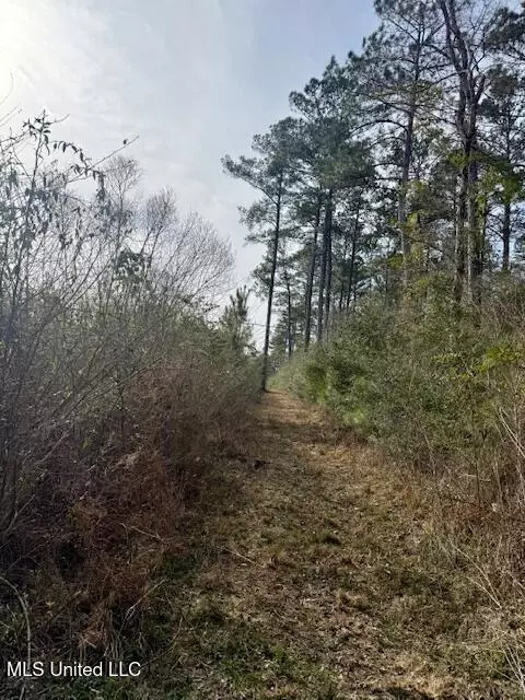 Beartown Road, Jayess, MS 39641 photo 44