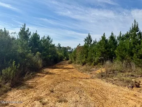 Beartown Road, Jayess, MS 39641 photo 11