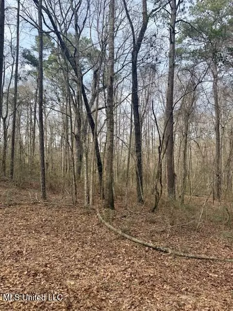 Beartown Road, Jayess, MS 39641 photo 35