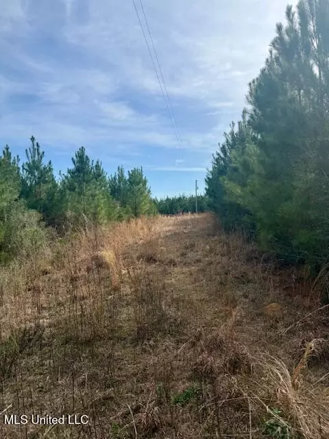 Beartown Road, Jayess, MS 39641 photo 34