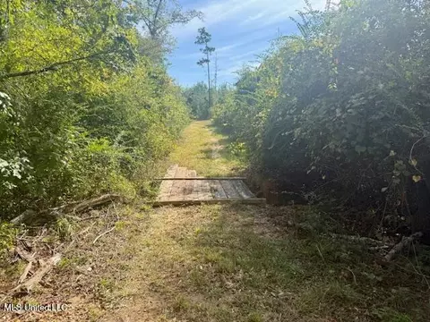Beartown Road, Jayess, MS 39641 photo 31