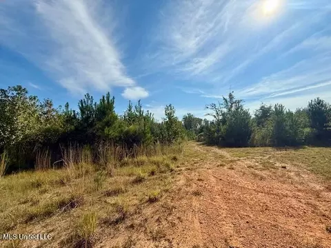 Beartown Road, Jayess, MS 39641 photo 7
