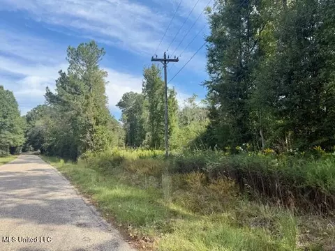 Beartown Road, Jayess, MS 39641 photo 33