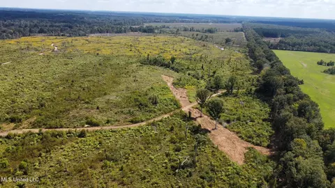 1 Highway 35, Forest, MS 39074 photo 50