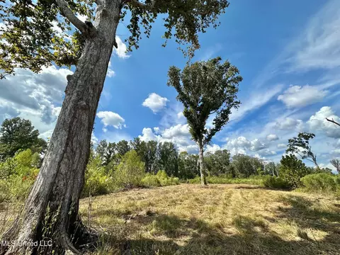 1 Highway 35, Forest, MS 39074 photo 34